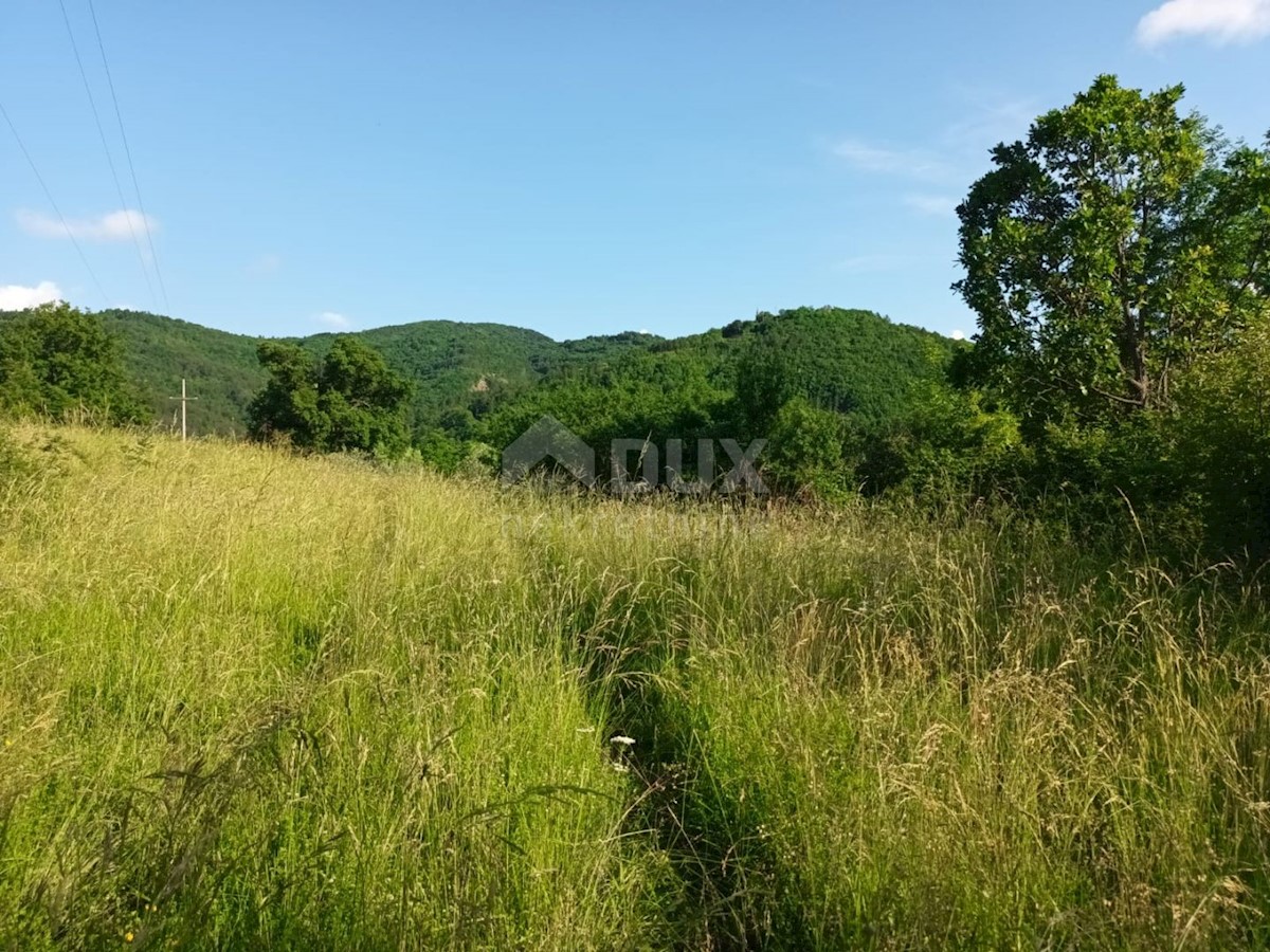 ISTRIA, BUZET - Casa in pietra in rovina nel cuore della natura