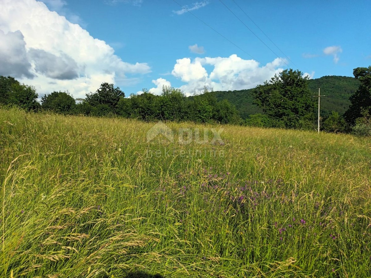ISTRIA, BUZET - Casa in pietra in rovina nel cuore della natura