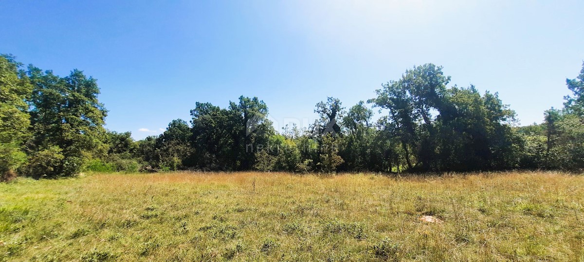 Terreno Završje, Grožnjan, 1.186m2