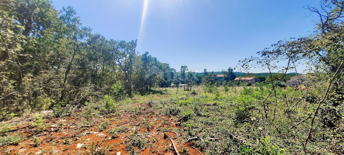 Terreno Završje, Grožnjan, 1.186m2