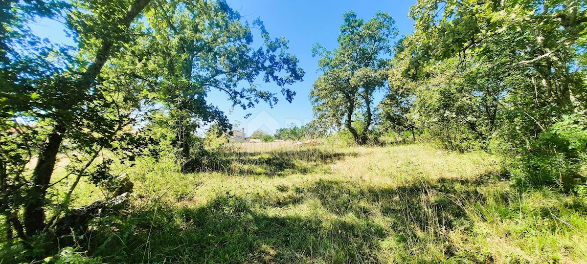 Terreno Završje, Grožnjan, 1.186m2