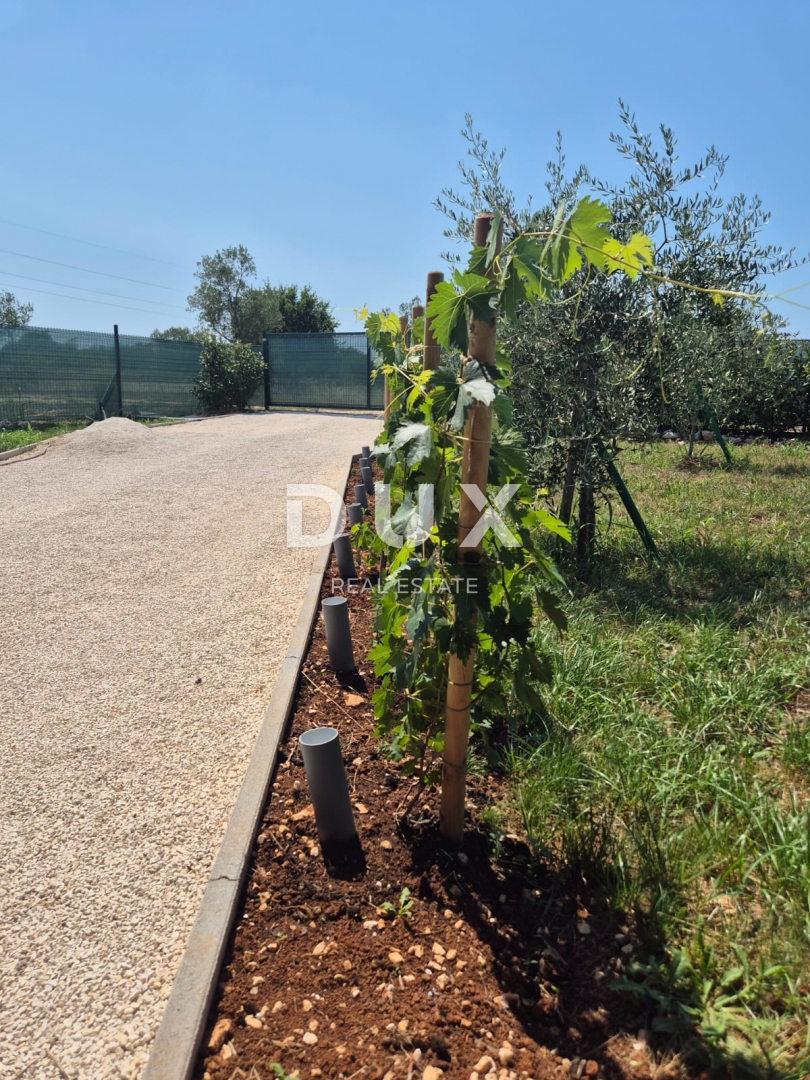 ISTRIA, FAŽANA - Casa non lontana dal mare