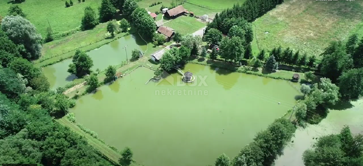 Terreno Našice, 10.000m2