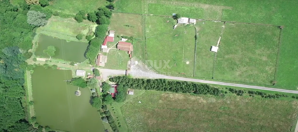 Terreno Našice, 10.000m2