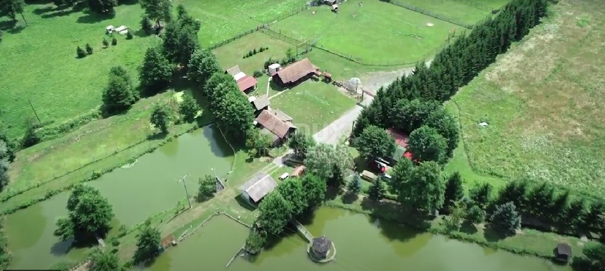 Terreno Našice, 10.000m2