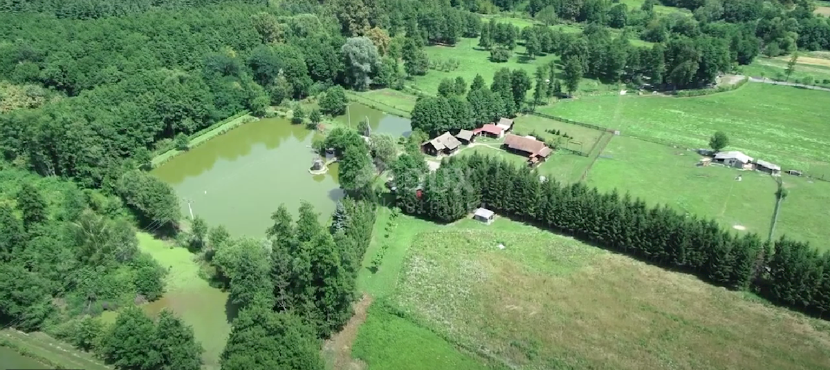 Terreno Našice, 10.000m2