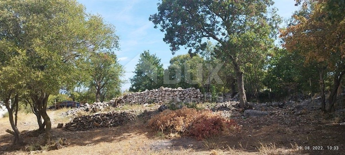 Terreno Pridraga, Novigrad, 1.100m2