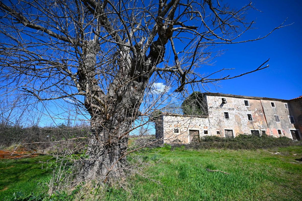 ISTRIA, VIŽINADA Cerchi una stazione istriana? FERMARE!