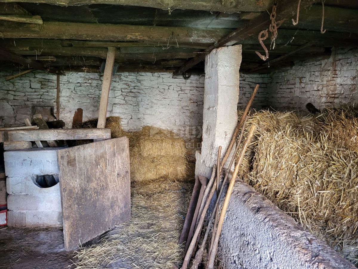 ISTRIA, BARBAN - Vecchia casa da ristrutturare in posizione tranquilla