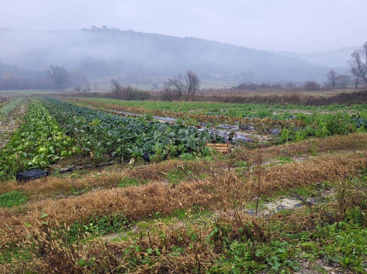 Terreno Pićan, 6.724m2