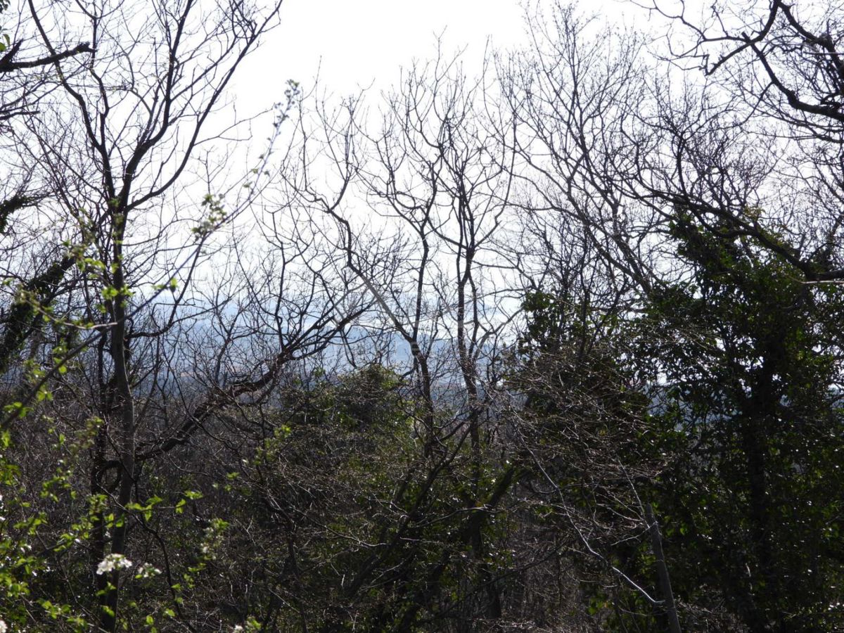 KRALJEVICA - terreno edificabile 2361m2 con vista mare per casa familiare/villa/appartamenti/casa in affitto - vacanza con piscina