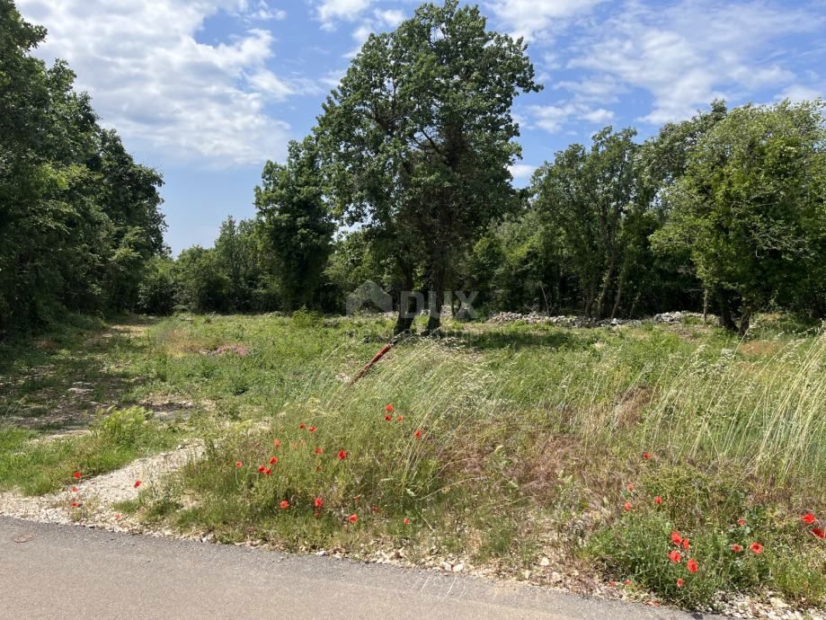 ISTRIA, ST. LOVREČ - Terreno edificabile per la costruzione di una casa ideale