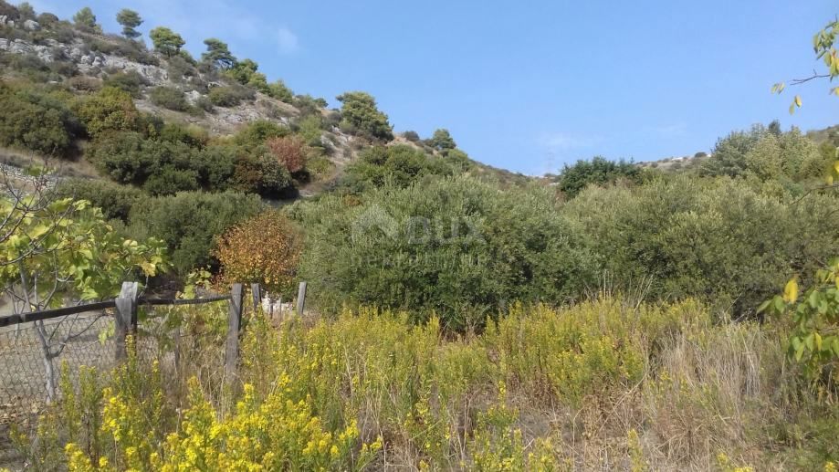 TROGIR - Terreno agricolo con uliveto