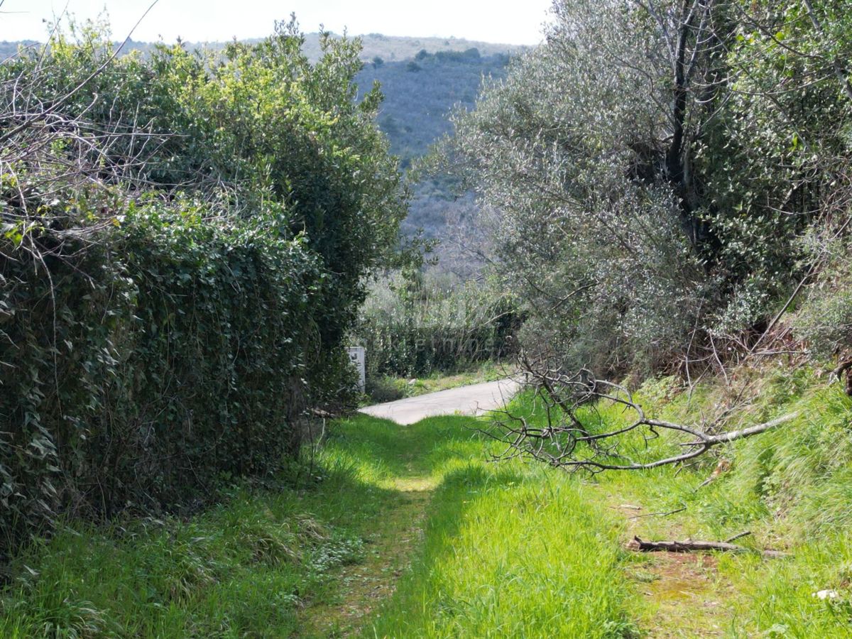 LABIN, SVETA MARINA - terreno edificabile di 435m2 con una vecchia casa, con vista sul mare e un progetto concettuale