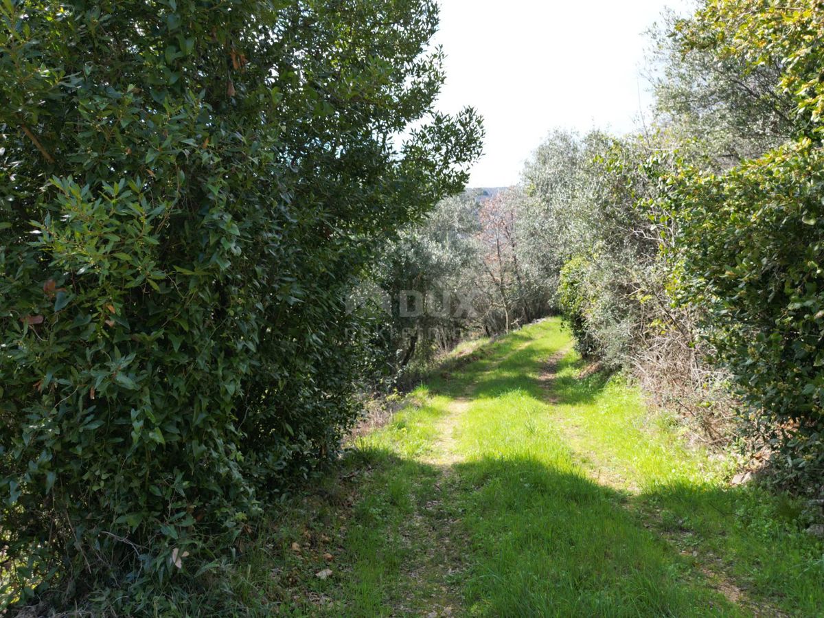 LABIN, SVETA MARINA - terreno edificabile di 435m2 con una vecchia casa, con vista sul mare e un progetto concettuale