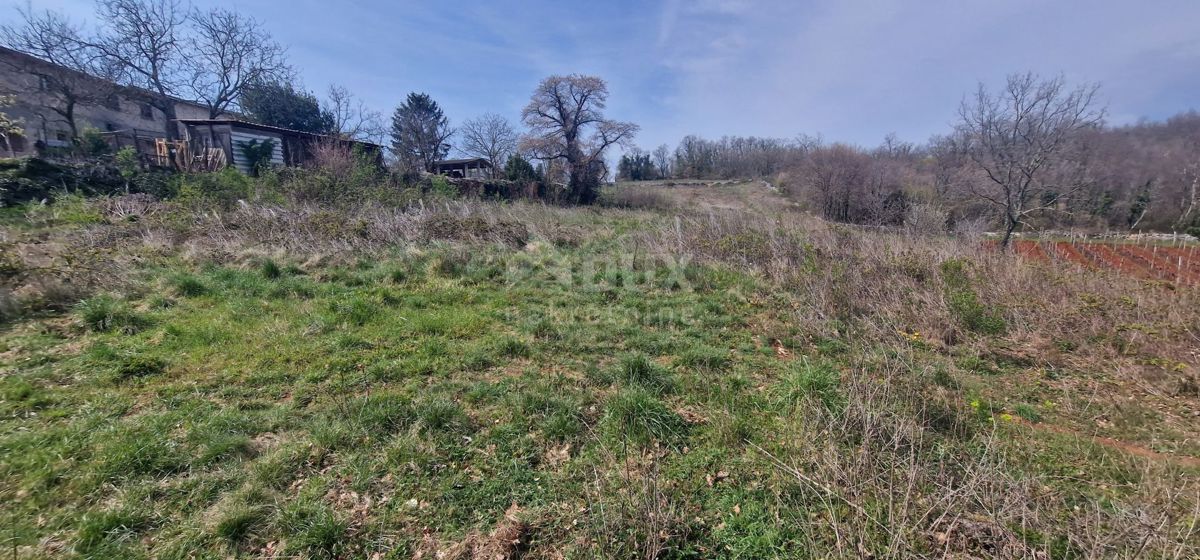 ISTRIA, TINJAN - Terreno edificabile di 2706 m2