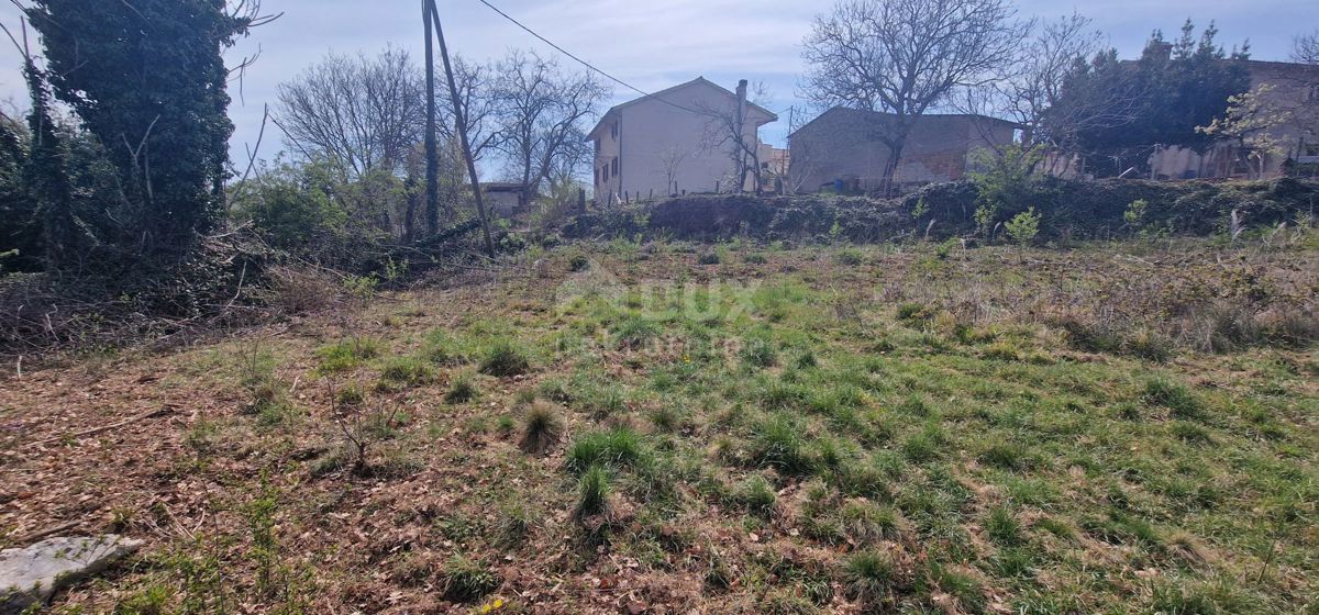 ISTRIA, TINJAN - Terreno edificabile di 2706 m2