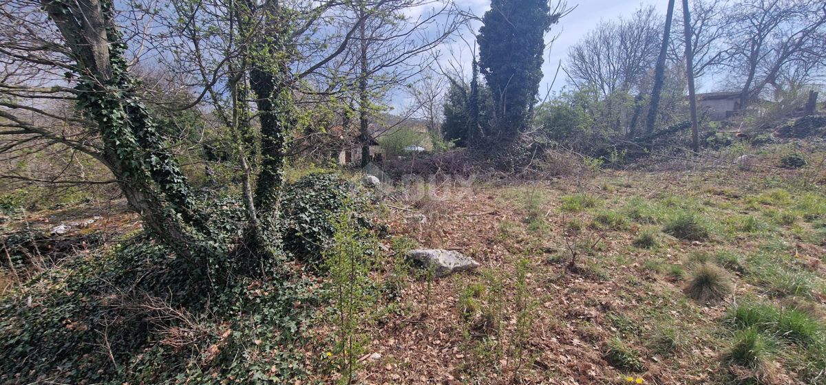 ISTRIA, TINJAN - Terreno edificabile di 2706 m2