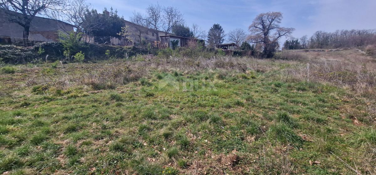 ISTRIA, TINJAN - Terreno edificabile di 2706 m2