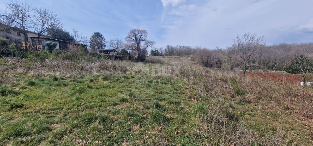 ISTRIA, TINJAN - Terreno edificabile di 2706 m2
