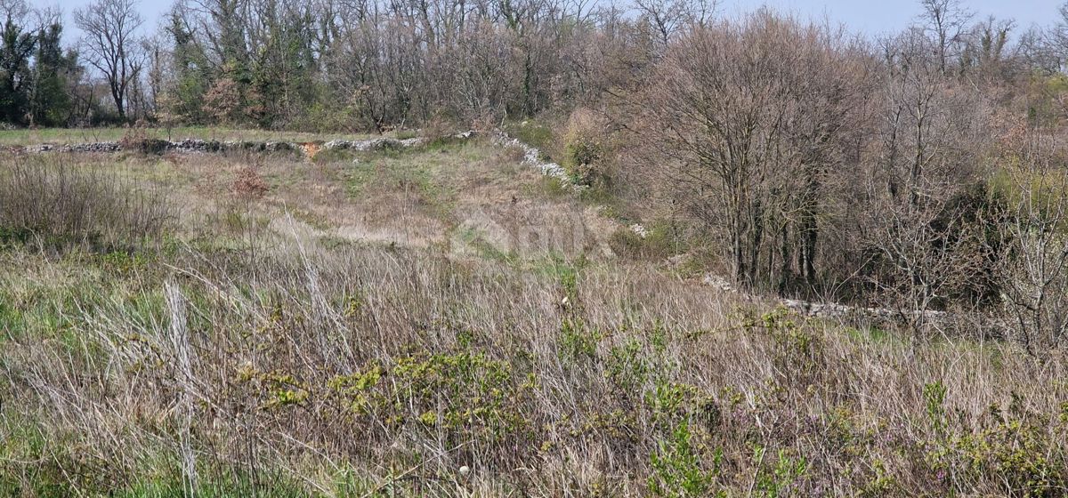 ISTRIA, TINJAN - Terreno edificabile di 2706 m2