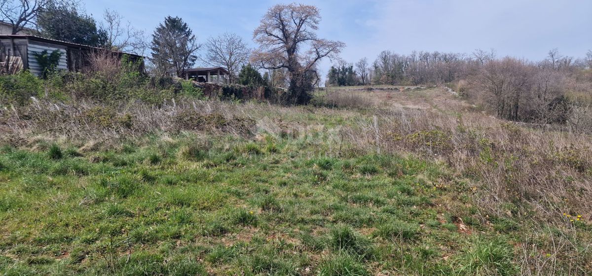 ISTRIA, TINJAN - Terreno edificabile di 2706 m2