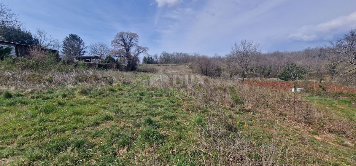 ISTRIA, TINJAN - Terreno edificabile di 2706 m2
