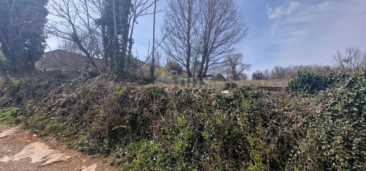 ISTRIA, TINJAN - Terreno edificabile di 2706 m2
