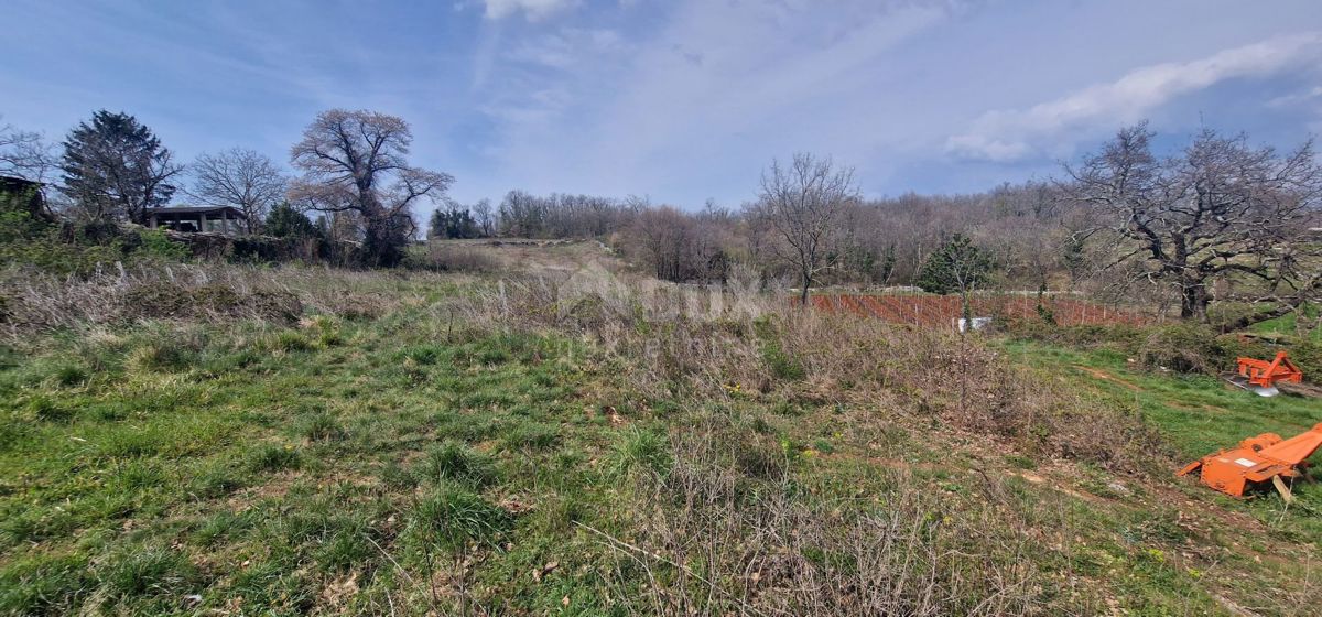 ISTRIA, TINJAN - Terreno edificabile di 2706 m2