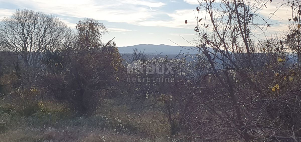 ISTRIA, BARBAN - Terreno con concessione edilizia valida per la realizzazione di 4 villette con piscine, utenze pagate