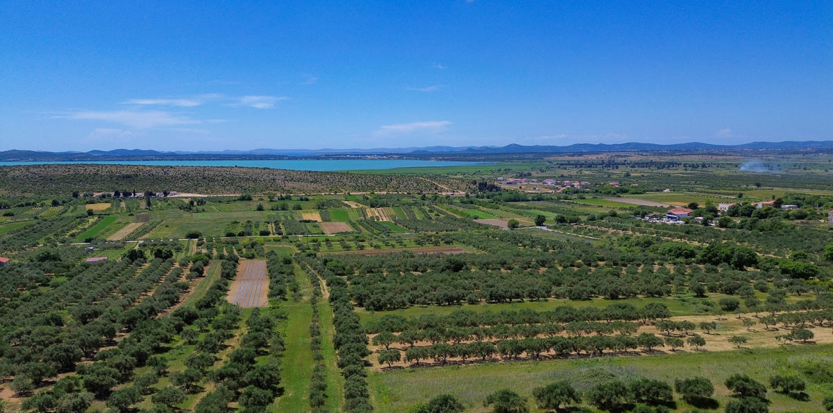 CORVO, PAKOŠTANE - OCCASIONE! Una casa in pietra unica con una vista spettacolare