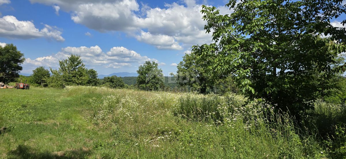 ISTRIA, TINJAN - Terreno edificabile adatto per un insediamento di 6 ville