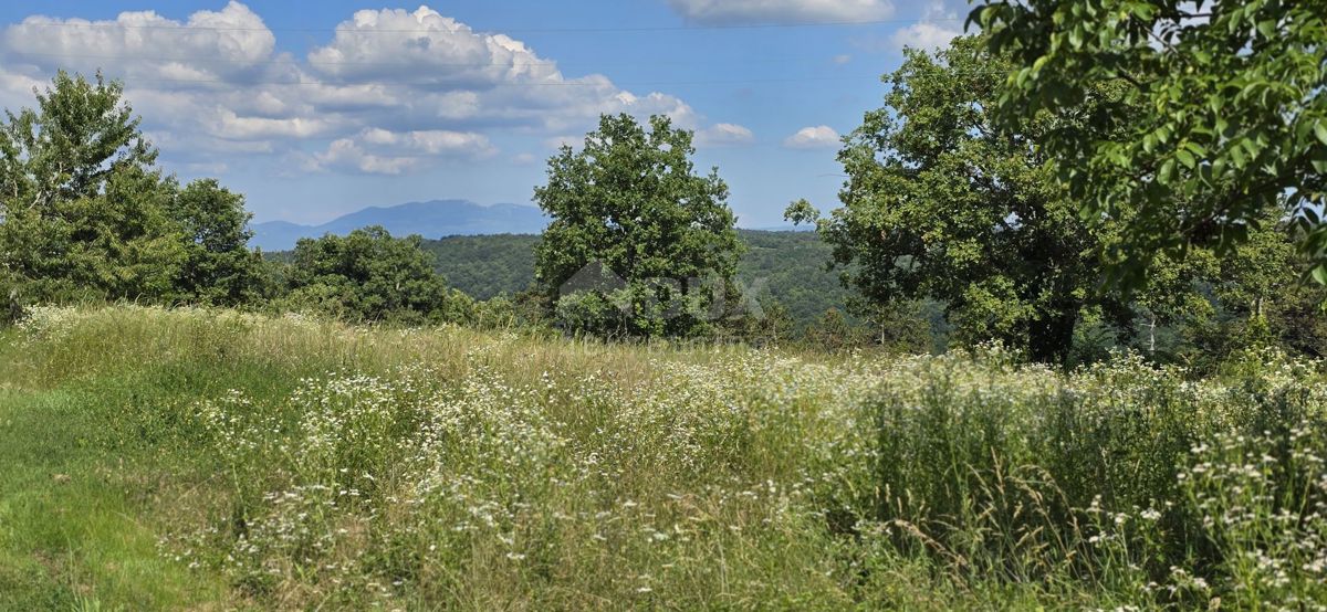 ISTRIA, TINJAN - Terreno edificabile adatto per un insediamento di 6 ville