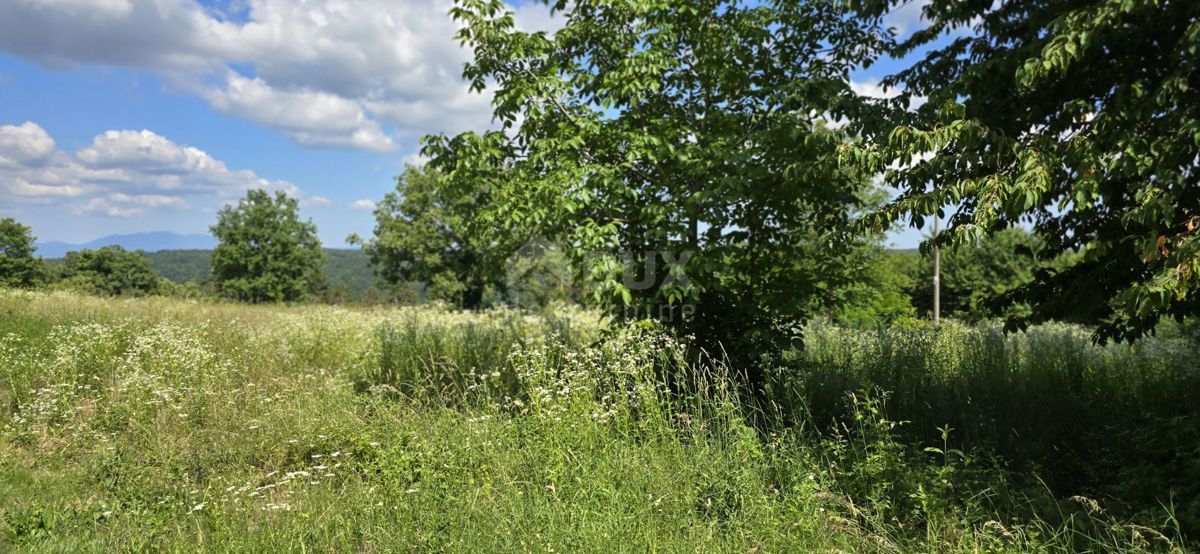 ISTRIA, TINJAN - Terreno edificabile adatto per un insediamento di 6 ville