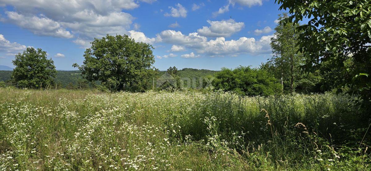 ISTRIA, TINJAN - Terreno edificabile adatto per un insediamento di 6 ville