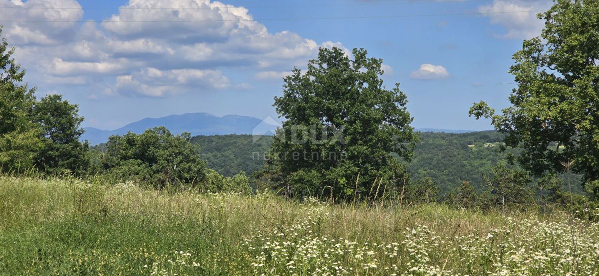 ISTRIA, TINJAN - Terreno edificabile adatto per un insediamento di 6 ville