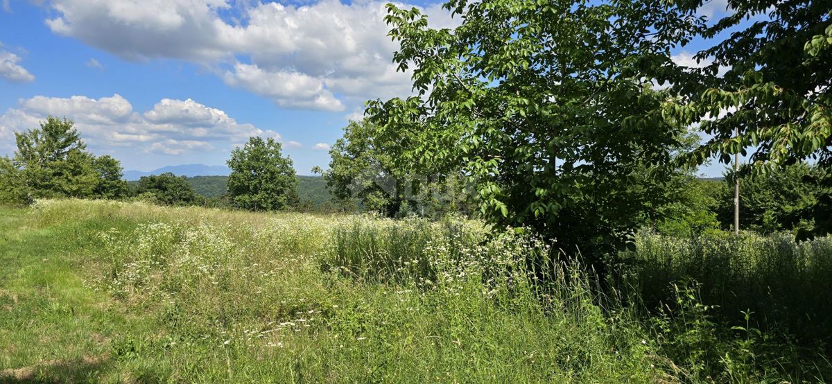 ISTRIA, TINJAN - Terreno edificabile adatto per un insediamento di 6 ville