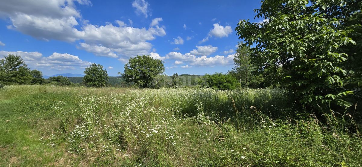 ISTRIA, TINJAN - Terreno edificabile adatto per un insediamento di 6 ville