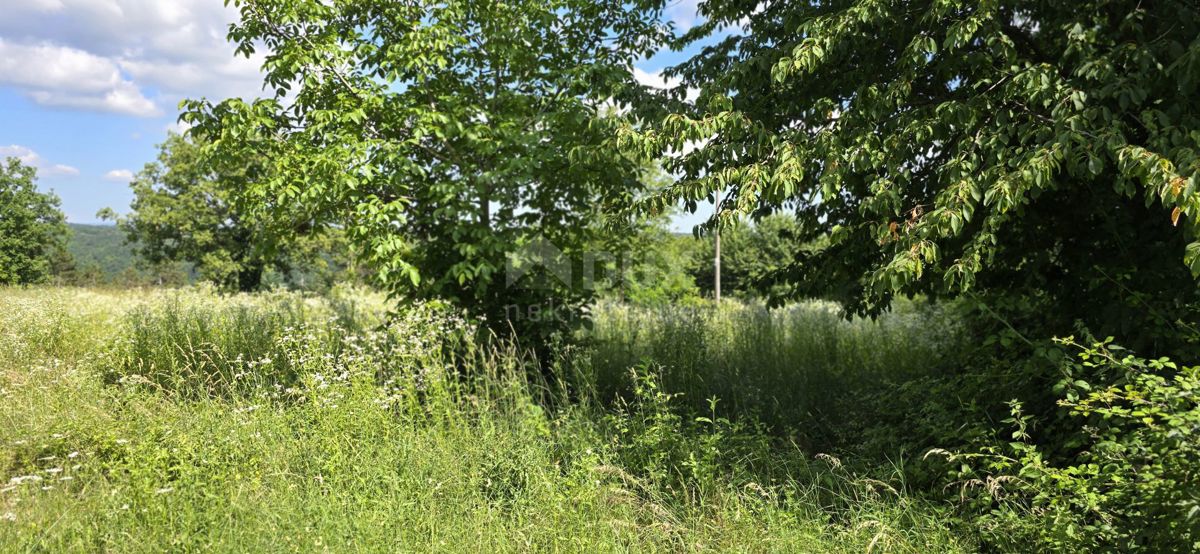 ISTRIA, TINJAN - Terreno edificabile adatto per un insediamento di 6 ville