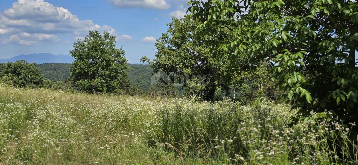 ISTRIA, TINJAN - Terreno edificabile adatto per un insediamento di 6 ville