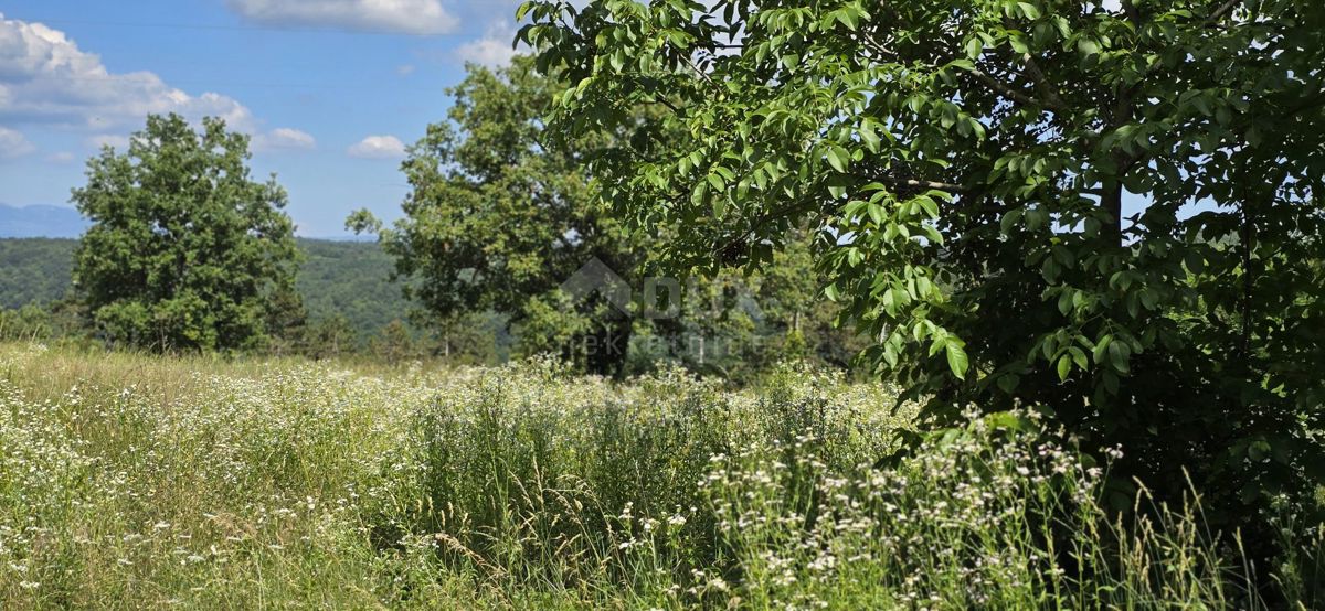 ISTRIA, TINJAN - Terreno edificabile adatto per un insediamento di 6 ville