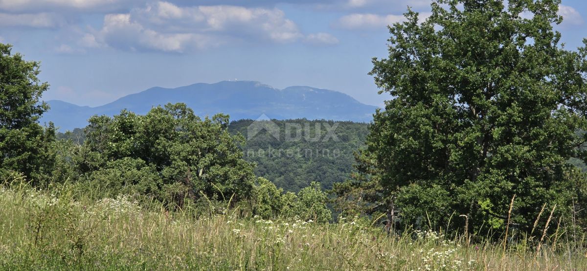 ISTRIA, TINJAN - Terreno edificabile adatto per un insediamento di 6 ville