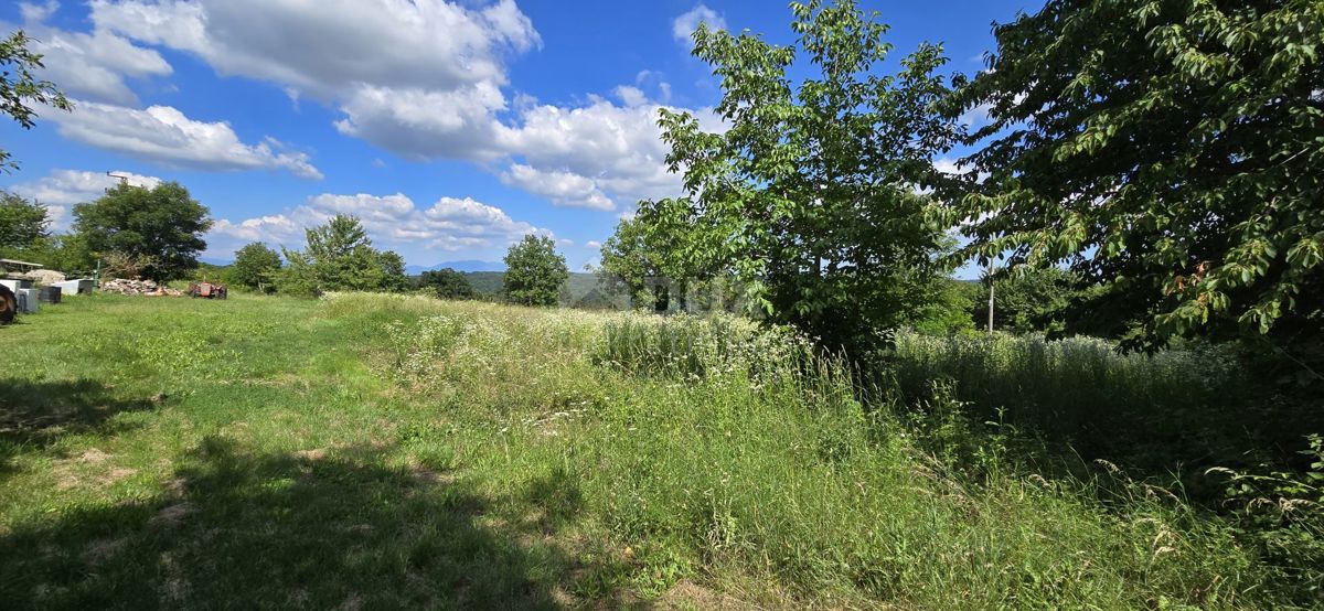 ISTRIA, TINJAN - Terreno edificabile adatto per un insediamento di 6 ville