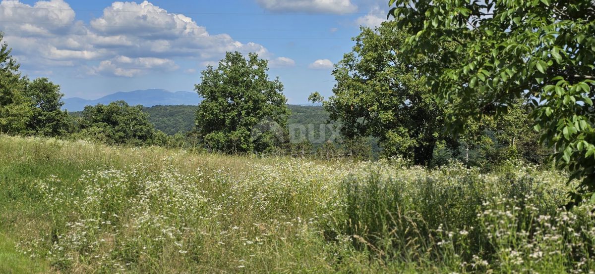 ISTRIA, TINJAN - Terreno edificabile adatto per un insediamento di 6 ville