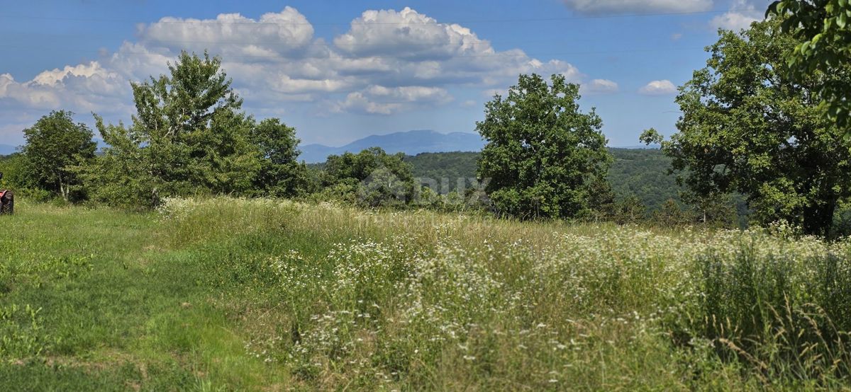 ISTRIA, TINJAN - Terreno edificabile adatto per un insediamento di 6 ville