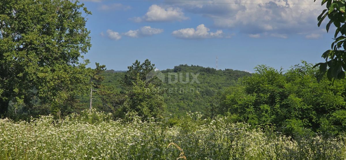 ISTRIA, TINJAN - Terreno edificabile adatto per un insediamento di 6 ville