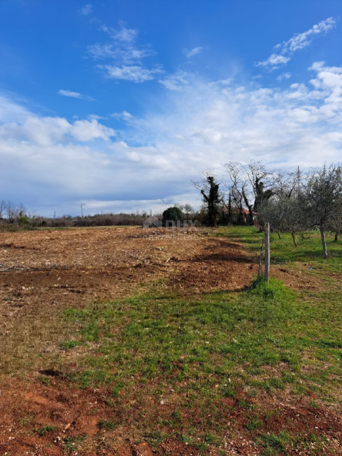 ISTRIA, UMAGO - Terreno a destinazione mista a 500 metri dal mare