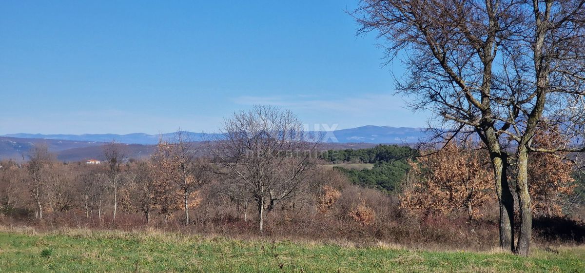 ISTRIA, BARBAN - Terreno edificabile per investimento, vista aperta