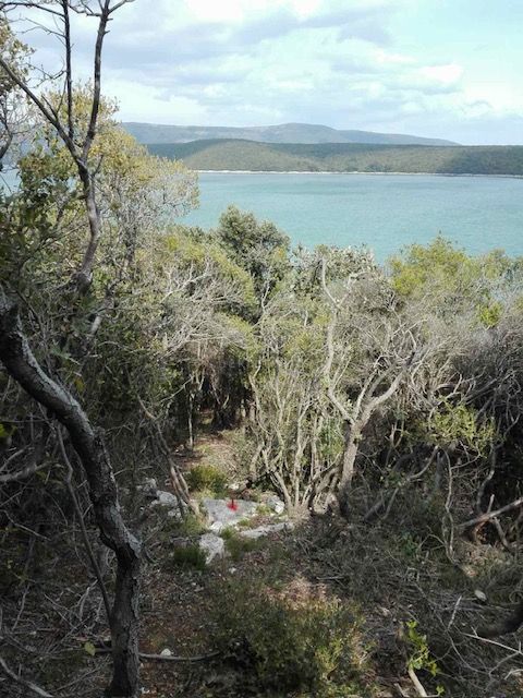 ISTRIA, RAKALJ - Atterrare sulla schiuma del mare 