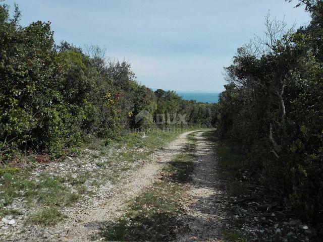 ISTRIA, RAKALJ - Atterrare sulla schiuma del mare 